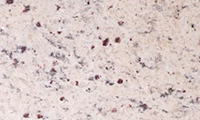 Amarillo Ornamental