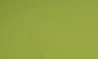 Verde Fun