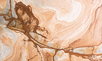 Palomino